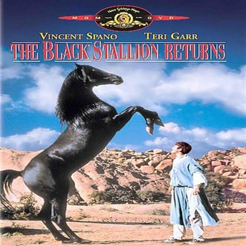Amazon.com: Black Stallion, The (DVD) : Kelly Reno, Mickey Rooney